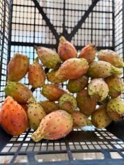 Dikenli İncir (Frenk Yemişi) ( 1 Kg)