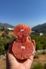 Kan Portakalı (1 Kg)