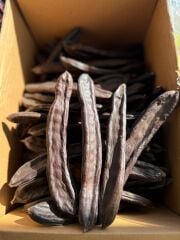 Keçi Boynuzu (500 gr)