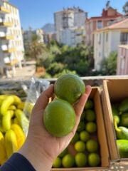 Lime Limon (1 Kg)