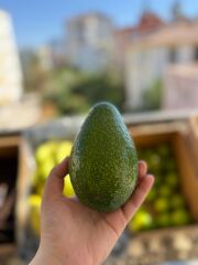 Avokado (Adet) (200 gram ve üzeri)
