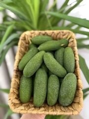 Baby Avokado (500 gr)