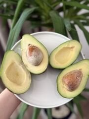 20 Adet Avokado (Kampanyalı Fiyat)